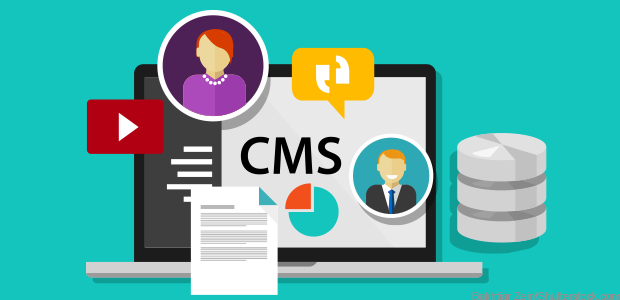 Why a content management system is important?